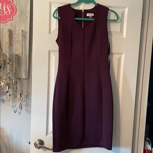 Plum Calvin Klein Dress